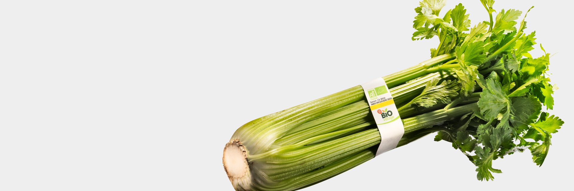 Banding is future-proof packaging